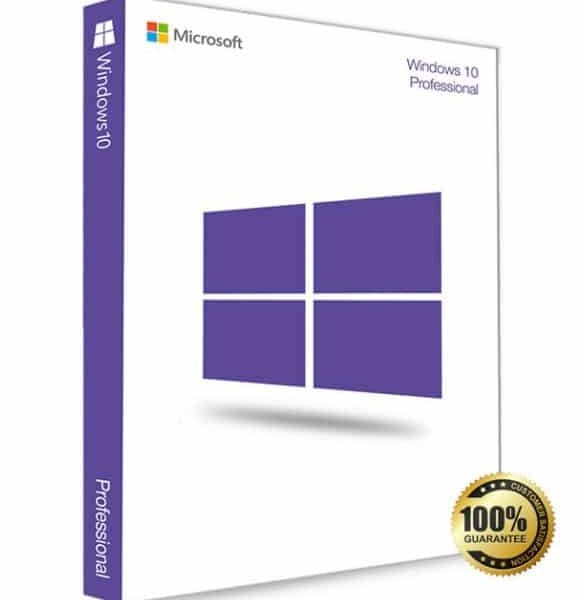 Windows 10 Professional