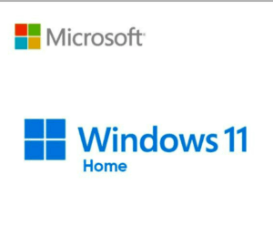 Windows 11 Home download