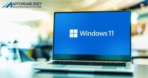 Buying Windows 11 Enterprise Key