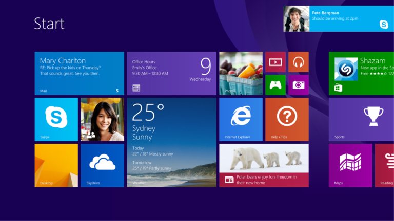 Microsoft Windows 8 Professional