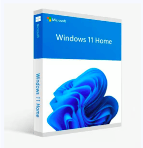 Windows 11 Home vs Pro for Gaming