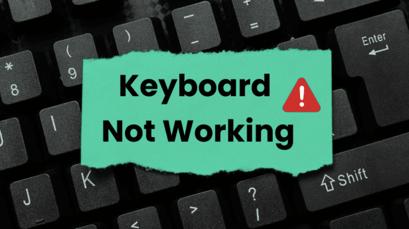 Windows 11 Keyboard Not Working